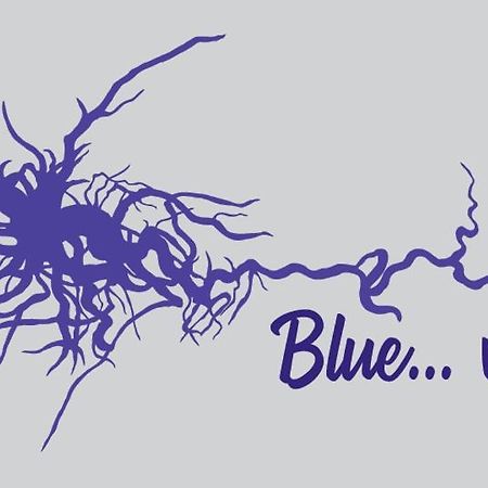 Blue...Violet Appartement Nauplion Buitenkant foto