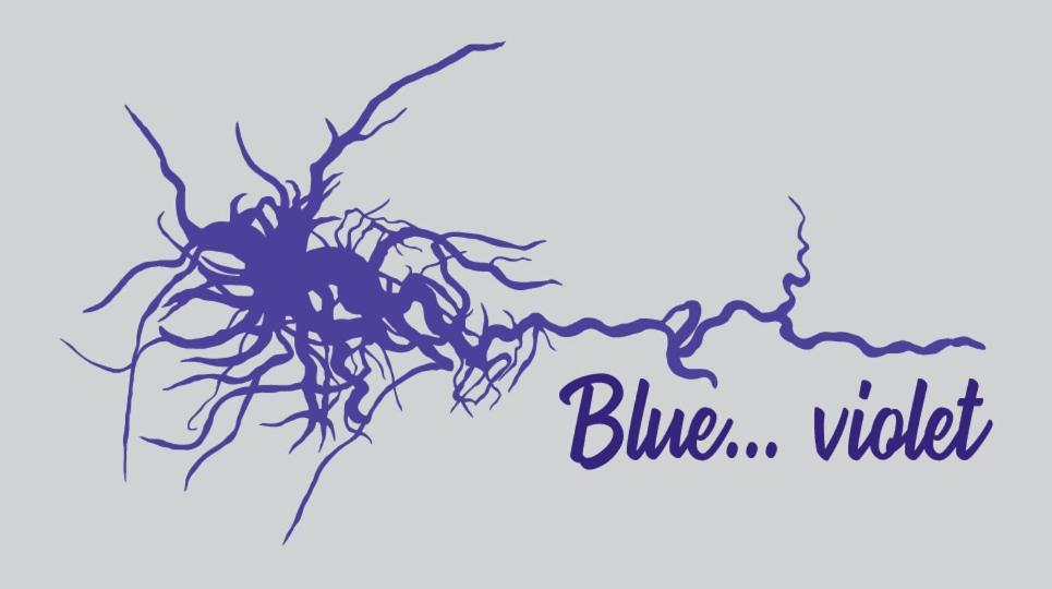 Blue...Violet Appartement Nauplion Buitenkant foto